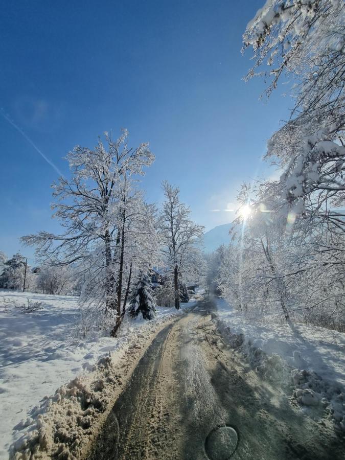 Karpielowka 77 Pokoje Goscinne Kościelisko Exterior foto